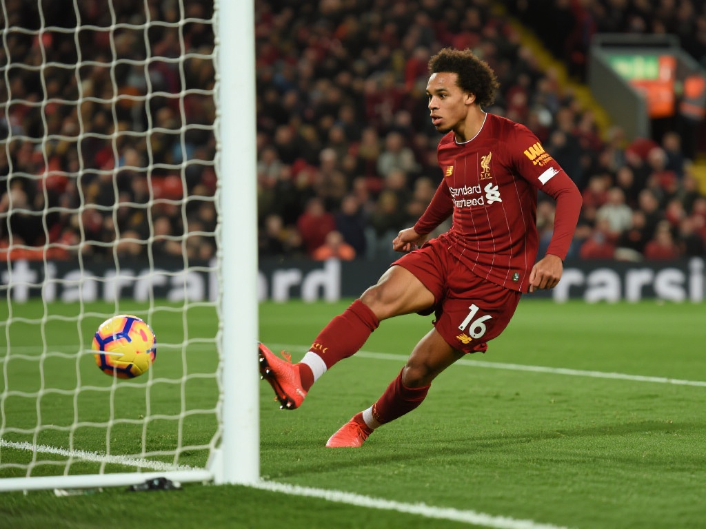 适应寒冷的 适应寒冷的